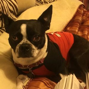 Meet your Posher, Alex